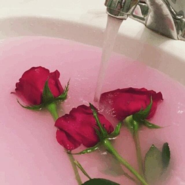 菊池
