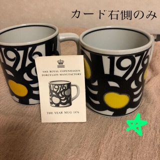 ROYAL COPENHAGEN - ロイヤルコペンハーゲン イヤーマグ 1976 年☆L