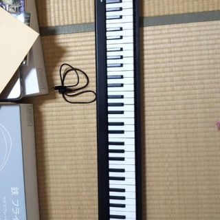 KORGMIDIキーボード microkey2-61 USB 本体のみ