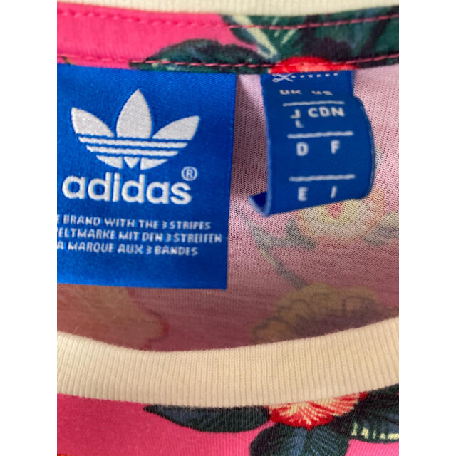 adidas×FARMTシャツ 5