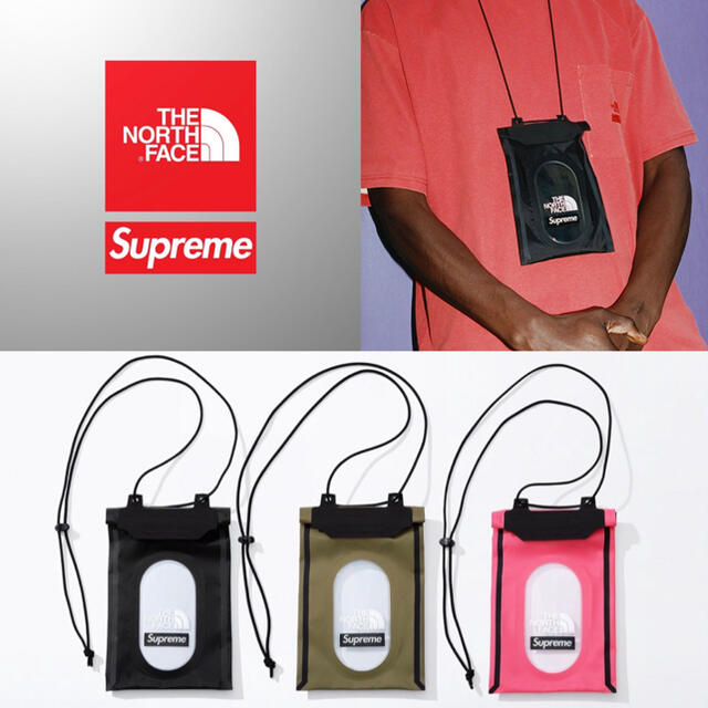 Supreme/The North Face Neck Pouch Olive