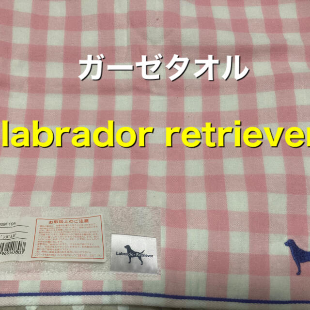 Labrador Retriever(ラブラドールリトリーバー)のlabrador retriever ガーゼタオル インテリア/住まい/日用品の日用品/生活雑貨/旅行(タオル/バス用品)の商品写真