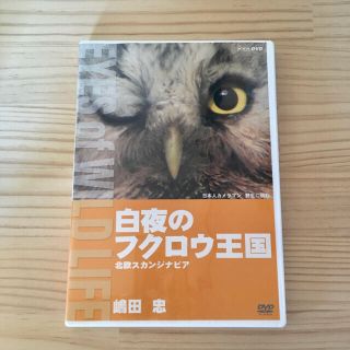 白夜のフクロウ王国　北欧スカンジナビア／嶋田忠 DVD(趣味/実用)