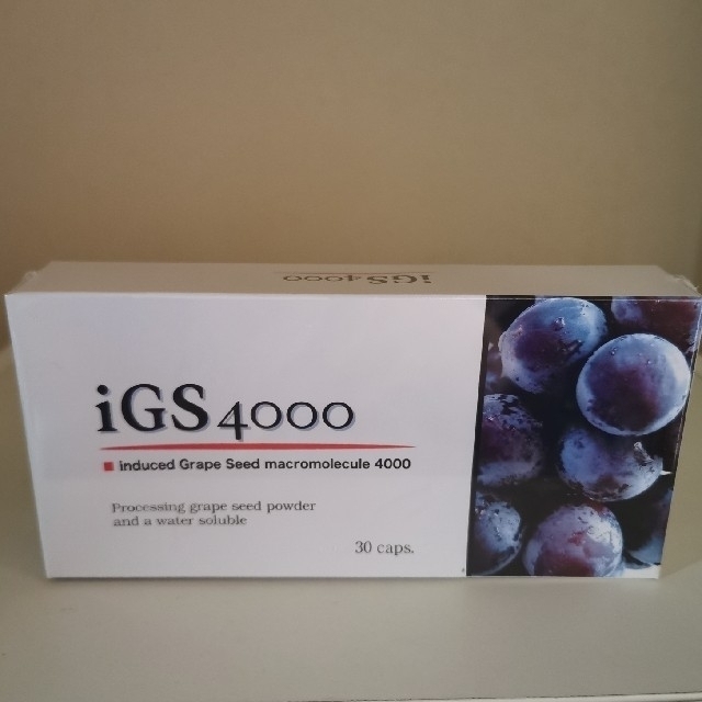 igs 4000