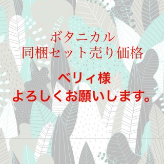 アースセイヤク(アース製薬)のボタニカル同梱価格(日用品/生活雑貨)