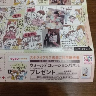 スタジオアリス ご利用優待券(その他)