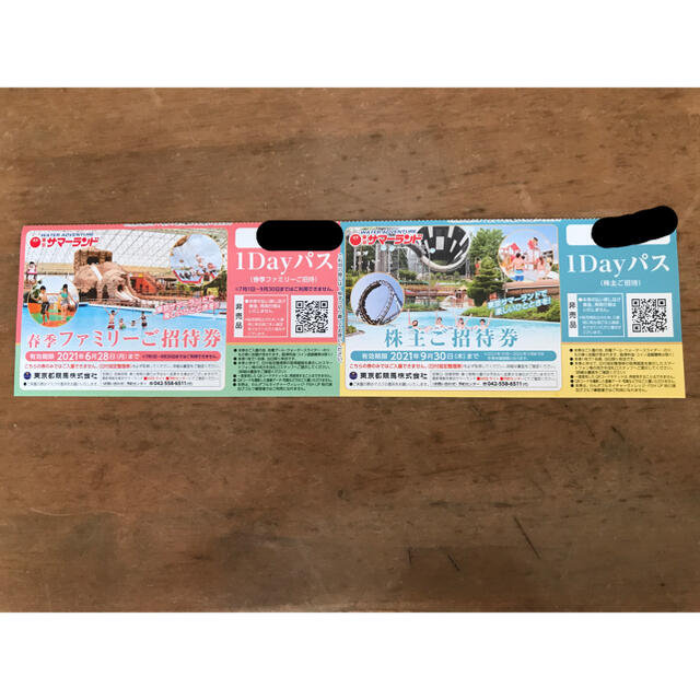 サマーランド　パスポート チケットの施設利用券(遊園地/テーマパーク)の商品写真