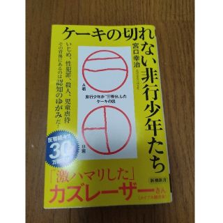 ケーキの切れない非行少年たち(人文/社会)