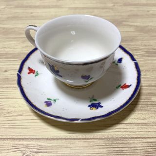 ジャンニバレンチノ(GIANNI VALENTINO)のジョバンニバレンチノ　ティー カップ　ソーサー 付き(食器)