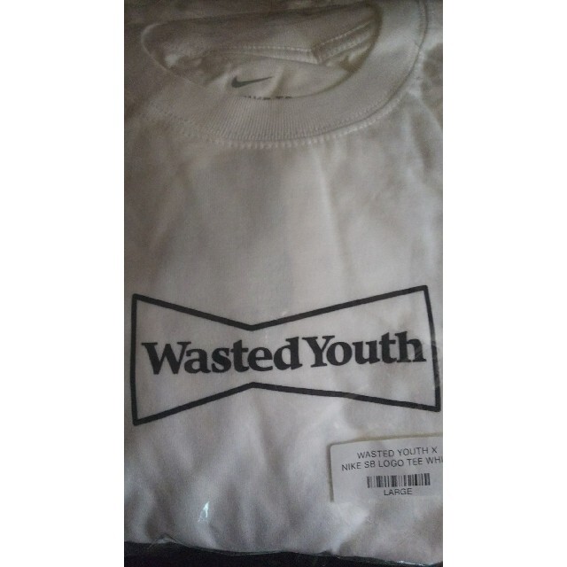 Lサイズ WASTED YOUTH Nike SB LOGO TEE