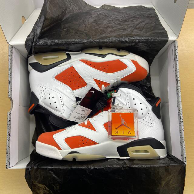 AIR JORDAN 6 RETRO ゲーターレード