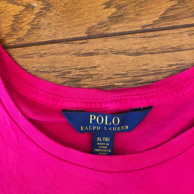 POLO RALPH LAUREN(ポロラルフローレン)のCHARMMY様専用ポロラルフローレン　160 キッズ/ベビー/マタニティのキッズ服男の子用(90cm~)(Tシャツ/カットソー)の商品写真