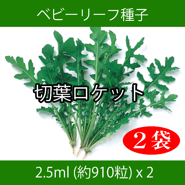 ベビーリーフ種子 B-31 切葉ロケット 2.5ml 約910粒 x 2袋 食品/飲料/酒の食品(野菜)の商品写真