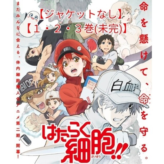 DVD「はたらく細胞!!(2期)１・２・３巻(未完)」レンタル落ちジャケットなし