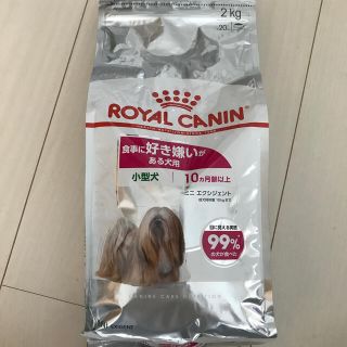 ロイヤルカナン(ROYAL CANIN)のロイヤルカナン　ミニエクシジェント(ペットフード)