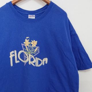 ヘインズ(Hanes)の☆US古着Hanes/Florida/プリントTシャツ/2XL(Tシャツ/カットソー(半袖/袖なし))