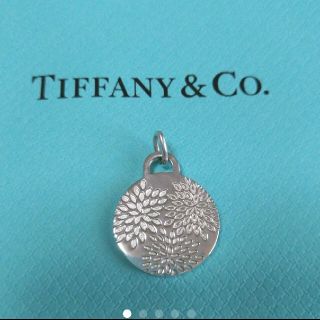 ティファニー(Tiffany & Co.)の美品＊TIFFANY ティファニーネックレストップのみ!(ネックレス)