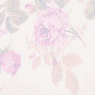 ぷりん様専用(その他)
