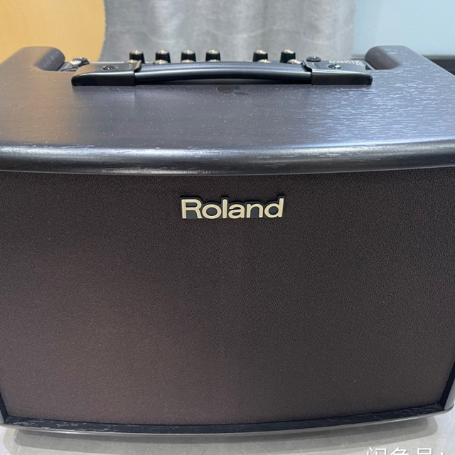 高級ブランド ローランド Roland - Roland AC-60RW アコースティック