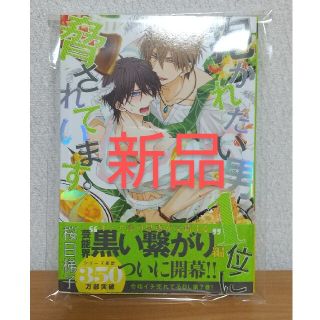 抱かれたい男１位に脅されています。 ７桜日梯子(ボーイズラブ(BL))