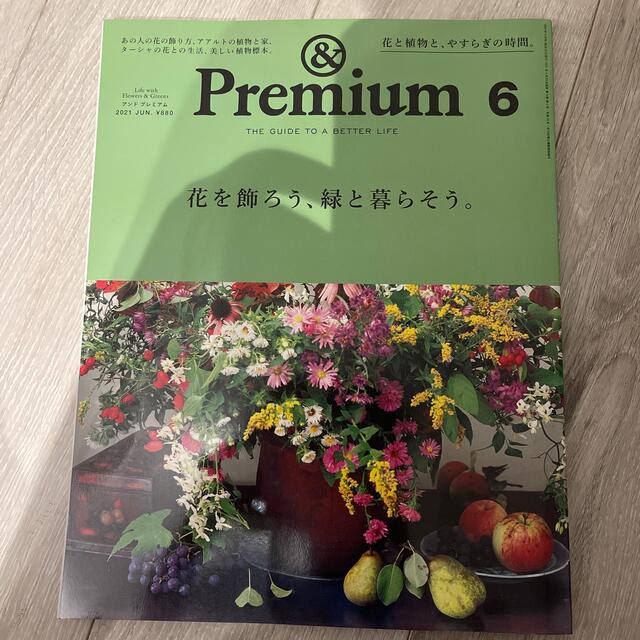 マガジンハウス(マガジンハウス)の&Premium (アンド プレミアム) 2021年 06月号 エンタメ/ホビーの雑誌(その他)の商品写真