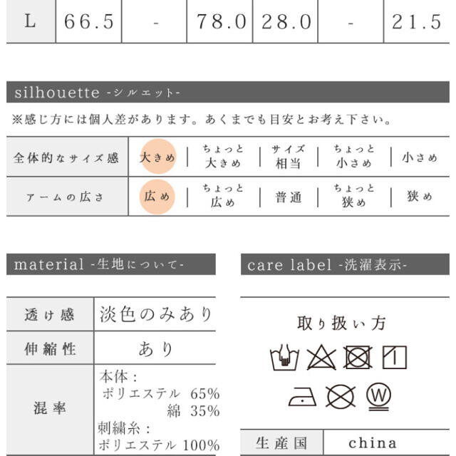 半袖   刺繍 カットソー チュニック 大きいサイズ レディースのトップス(チュニック)の商品写真