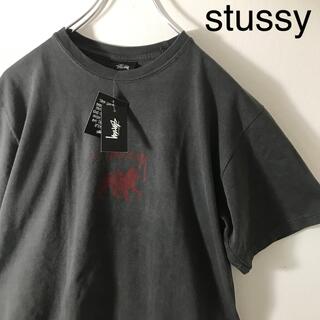 ステューシー(STUSSY)の【stussy ステューシー】新品未使用　海外モデル mexico製　S (Tシャツ/カットソー(半袖/袖なし))