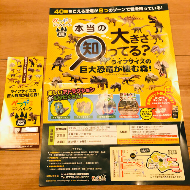 かつやまディノパーク 入場券　１枚　期限:2021/11/23 チケットの施設利用券(遊園地/テーマパーク)の商品写真