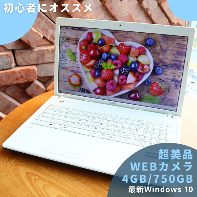 NEC 超美品⭐️Webカメラ/750GB/4GB/新品マウス付