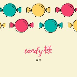 candy様専用☆(その他)