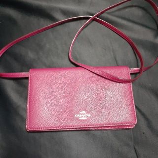 サイズ値下げします!COACHのポシェット