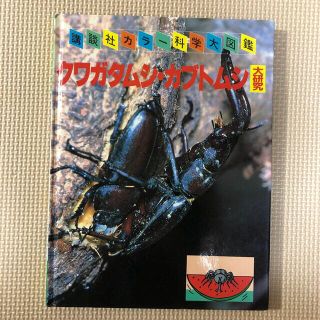 コウダンシャ(講談社)の講談社カラー科学大図鑑　クワガタムシ・カブトムシ大研究(虫類)