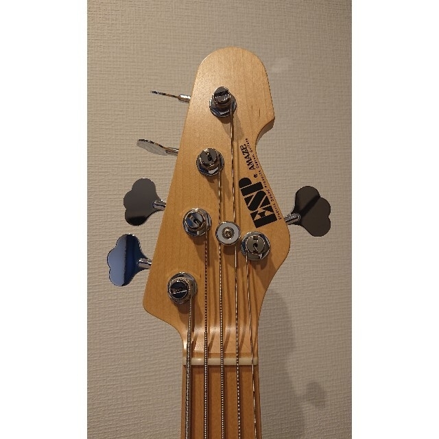 石見銀山 ESP エレキベース AMAZE SL5 ローズウッド 5弦 ジャズベース