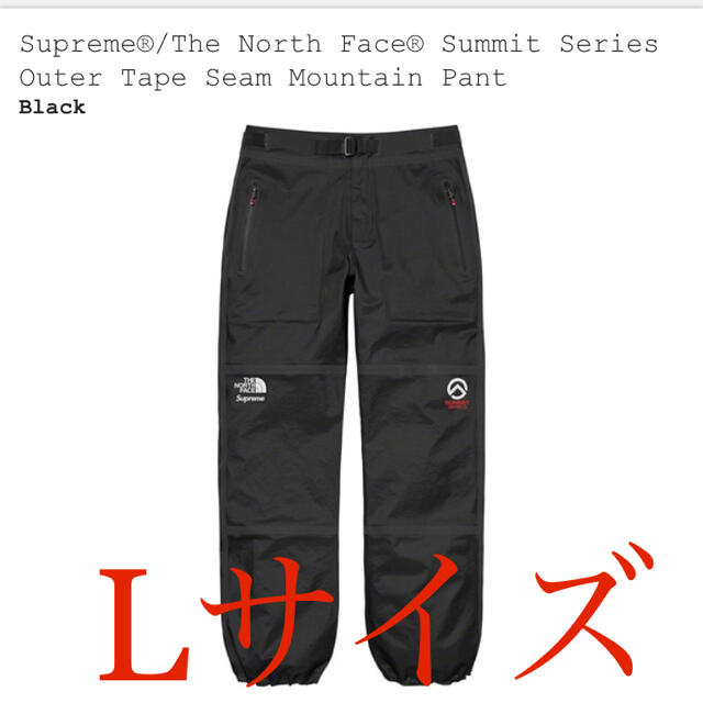 【Ｌ】Supreme The North Face Mountain pantsパンツ