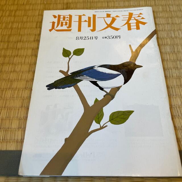 文藝春秋(ブンゲイシュンジュウ)の週刊文春 2011年8月25日号 エンタメ/ホビーの雑誌(ニュース/総合)の商品写真