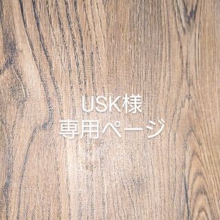 ルース(LUZ)のルースイソンブラTシャツ150cm(ウェア)