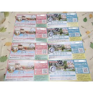 東京都競馬 株主優待　東京サマーランド 1Dayパス 8枚セット (遊園地/テーマパーク)