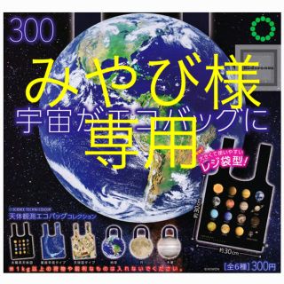 天体観測エコバッグ【天球図タイプ】(エコバッグ)