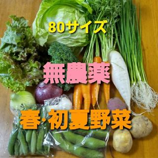 無農薬野菜セット　80サイズ　6月5.6日収穫発送　限定１箱(野菜)