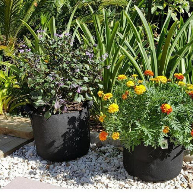 1ガロン　不織布　植物プランター　12p ハンドメイドのフラワー/ガーデン(プランター)の商品写真