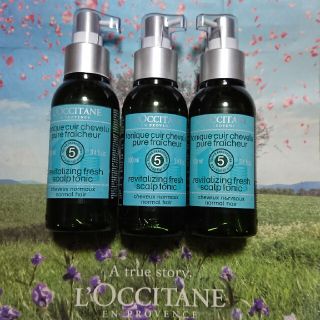 ロクシタン(L'OCCITANE)のいち様専用 ロクシタン ピュアフレッシュネス スカルプエッセンス ３個セット (スカルプケア)