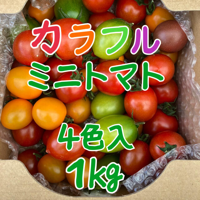 カラフルミニトマト4色詰め合わせ1kg 食品/飲料/酒の食品(野菜)の商品写真