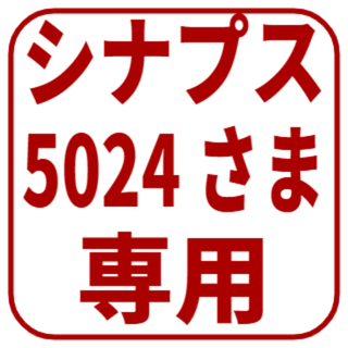 シナプス5024さま専用(小物入れ)