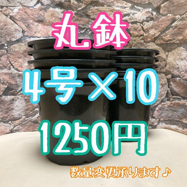 ◎10個◎ 4号 / 4寸 / 12.5cm 丸鉢 プラ鉢 黒 ブラック ハンドメイドのフラワー/ガーデン(プランター)の商品写真