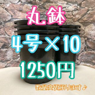 ◎10個◎ 4号 / 4寸 / 12.5cm 丸鉢 プラ鉢 黒 ブラック(プランター)