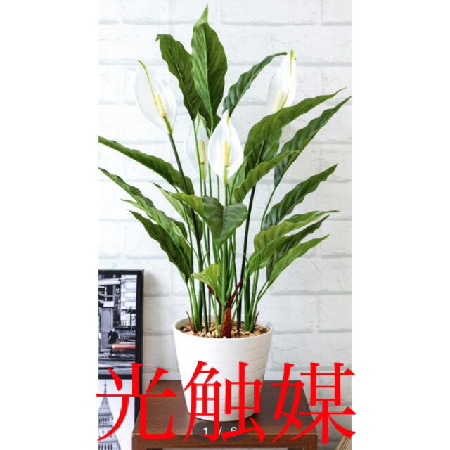 光触媒　人工観葉植物　ウォールグリーン　造花　インテリア　スパティフィラム58