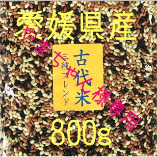 やまちゃん様専用  古代米3種ブレンド　愛媛県産　800ｇ(米/穀物)
