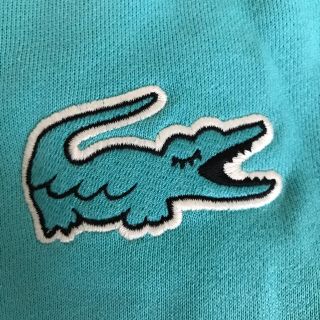 ラコステ(LACOSTE)の⚠️⚠️⚠️専用⚠️⚠️⚠️お値下げ！！かわいいパーカー♡(パーカー)