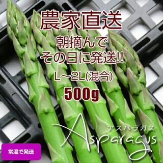 太アスパラ 500g(野菜)
