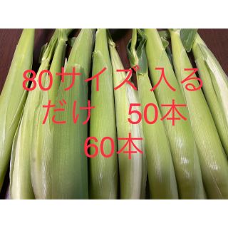 ヤングコーン　80サイズ　ゴールドラッシュ(野菜)